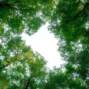太阳与地球（翻自卢广仲）