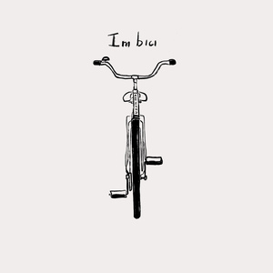 IN BICI