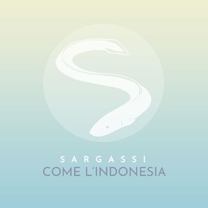 Come l'Indonesia