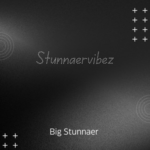Stunnaervibez