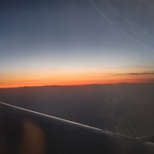 不想承认怕失去