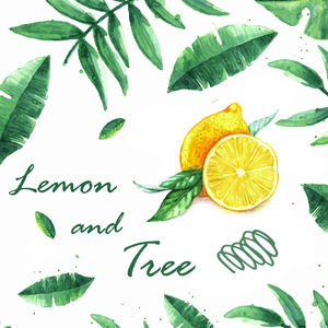 宁夏｜尤克里里弹唱