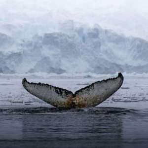 Kina-Can we kiss forever（Nice2cu remix）