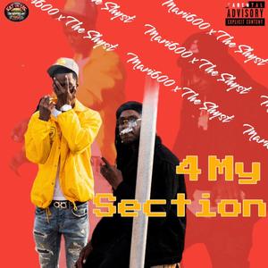 4 My Section