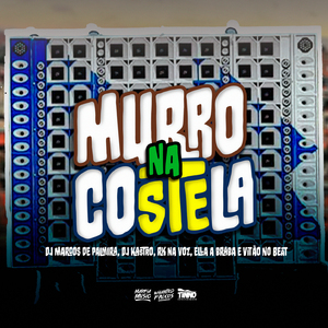 Murro Na Costela