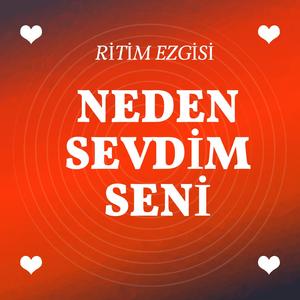 Neden Sevdim Seni