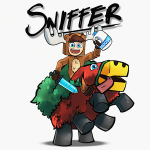 Sniffer