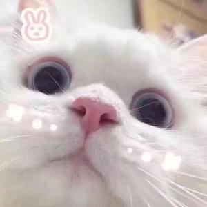 一瓶冰阔洛