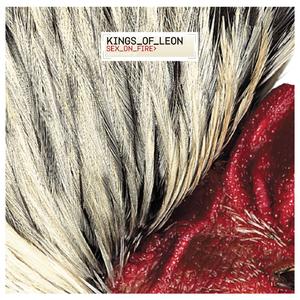 Sex on Fire (Live from Cologne, Germany - February 2009)