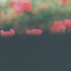 Petals (Circle 56)