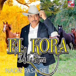 El Mono de Alambre