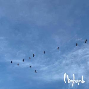 ถนนสายนี้มีแต่เรา