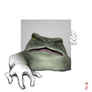 Toad