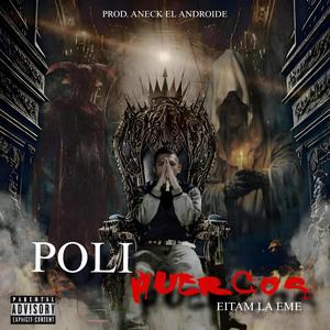 POLIPUERCOS