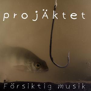Försiktig musik