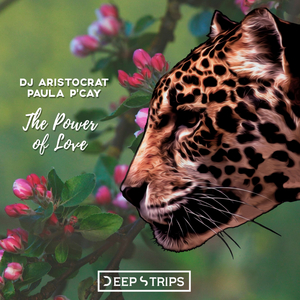 The Power of Love (Original Mix)