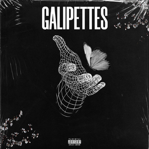 Galipettes