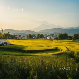 匆匆又夏天