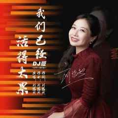 我们已经活得太累 (DJ沈念版)