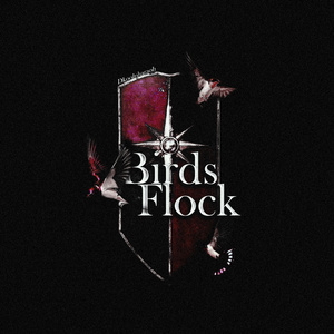 BIRDS FLOCK