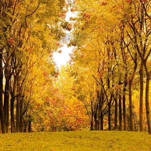 此生也算共白头