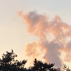 想你就写信+眼泪成诗