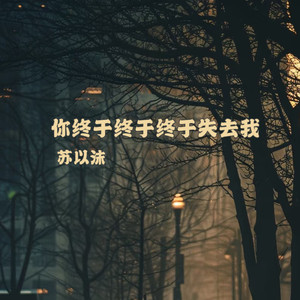 你终于终于终于失去我