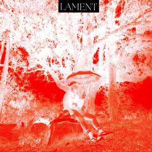 Jameel's Lament