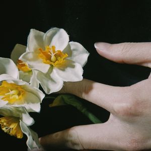 葉月、どうして今夜は一人なの