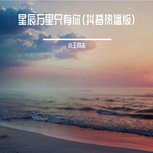 星辰万里只有你（抖音热播版）