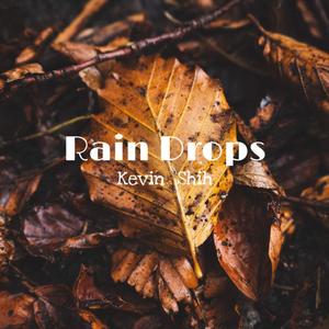 雨水 Rain Drops
