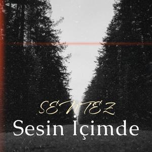 Sesin İçimde