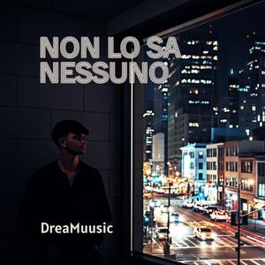 Non Lo Sa Nessuno