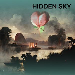 Hidden Sky