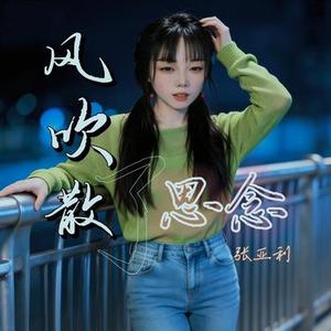 风吹散了思念