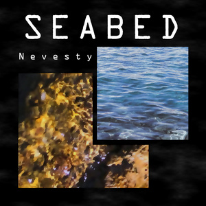 Seabed