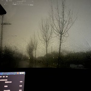 放荡不羁爱自由