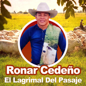 Remembranzas de un Llanero