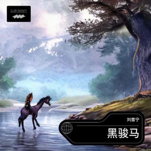 黑骏马