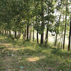 新沂故事里的烟火