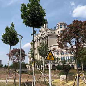 推进感EDM 激情燃烧 (健身必听)