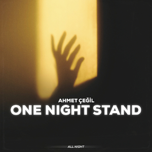 One Night Stand