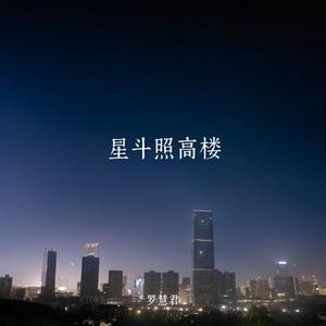 星斗照高楼