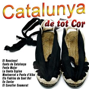 Els Fadrins de Sant Boi