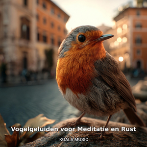 Zachte Vogelklanken voor Innerlijke Rust, Pt.13
