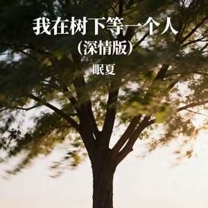我在树下等一个人（深情版）