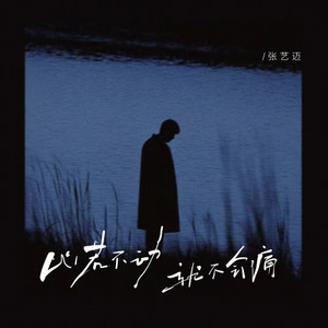 心若不动 就不会痛