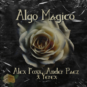 Algo Magico