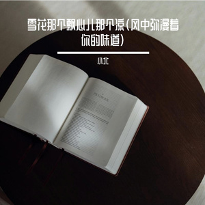 雪花那个飘心儿那个凉（风中弥漫着你的味道）