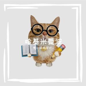 打火机(哈基米分机)